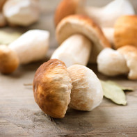 The benefits and harms of ceps