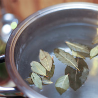 A photo of bay leaf decoction