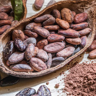 Kakaobønner foto