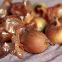 Onion husk photo 2