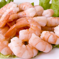 Photo of shrimp 4