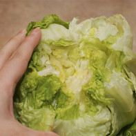 Photo of iceberg salad 5