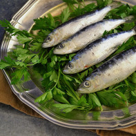 Photo of sardines 5