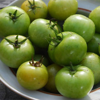 Fotografia zelených paradajok
