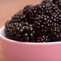 Photo of blackberry 4