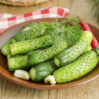 Photo of cucumbers 5