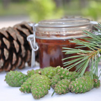Photo of jam from pine cones 4