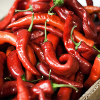 Photo of hot red pepper