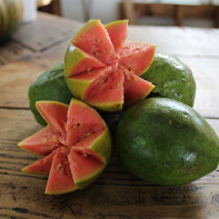 Guava Photo 3