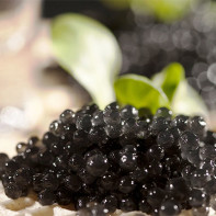 Photo du caviar noir