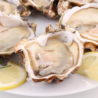 Photo of oysters 2
