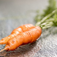 Photo of Carrots 4