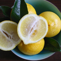 レモンの写真 4