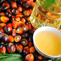 Image de l'huile de palme