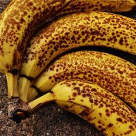 Photo de la banane 5