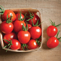 Photo de tomates cerises 2