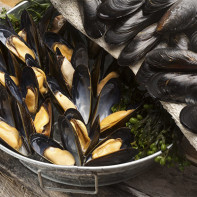Photo of mussels 5