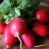 Photo of a radish 5