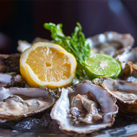 Photo of oysters 6