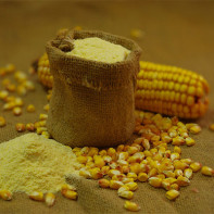 Farine de maïs photos 3