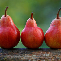 Photo of pears 3