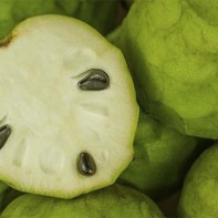 Photo du fruit du haricot 2