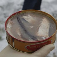 Photo of surströmming 5