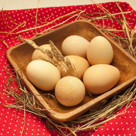 Foto af et æg af en perlehøne 5