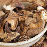 Photo of dried mushrooms 4