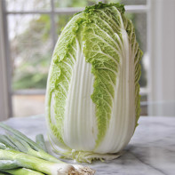 Photo of Chinese cabbage