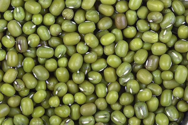 Interesting Facts about Mung Beans