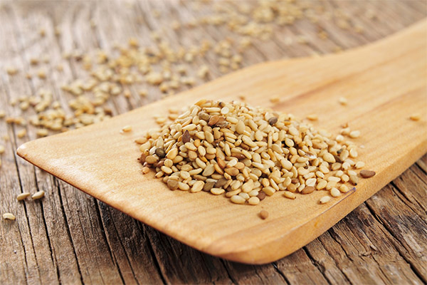 Interesting facts about sesame seeds