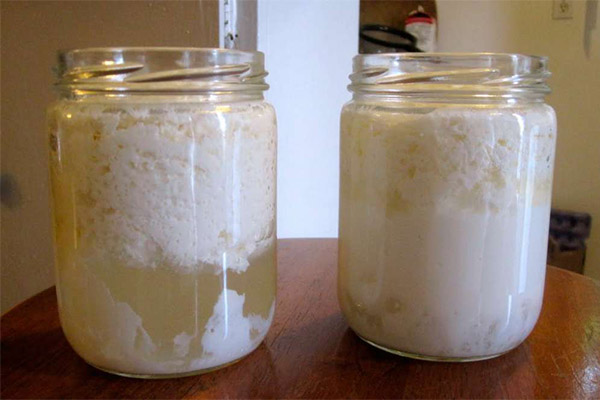 Wie man Joghurt herstellt