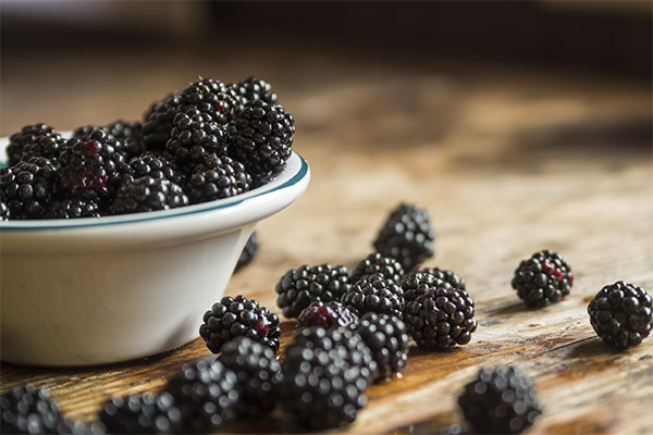 How to choose and store blackberries