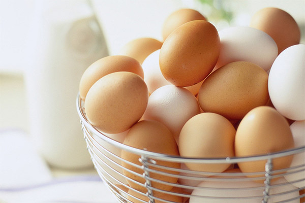 鶏卵の選び方・保存方法
