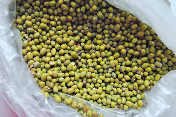 How to Choose and Store Mung Beans