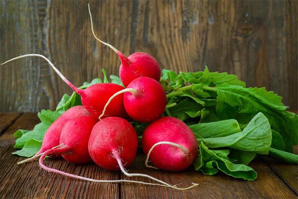 How to Choose and Store a Radish