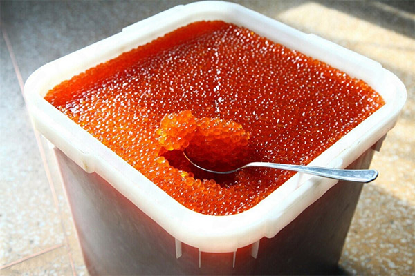Wie man Kaviar salzt