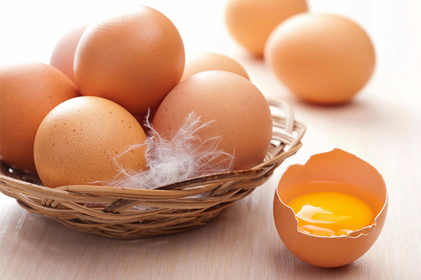 The benefits and harms of chicken eggs