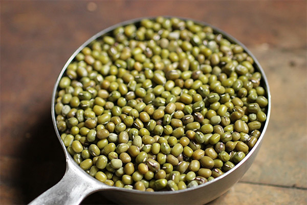 The benefits and harms of mung beans