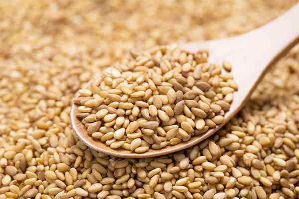 The benefits and harms of sesame seeds