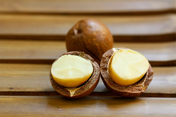 Výhody makadamových ořechů pro ženy