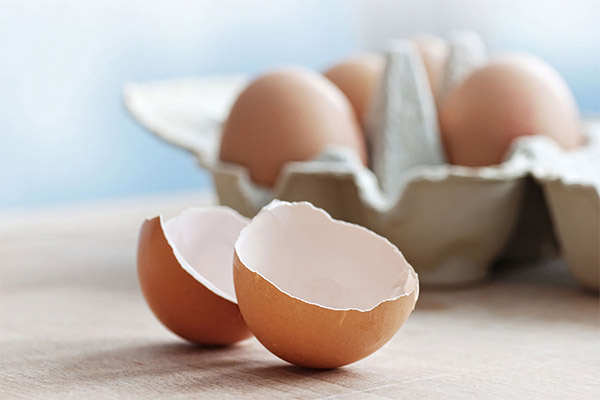 Avantages des coquilles d'œufs de poule