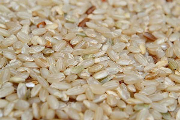 Le riz brun en médecine