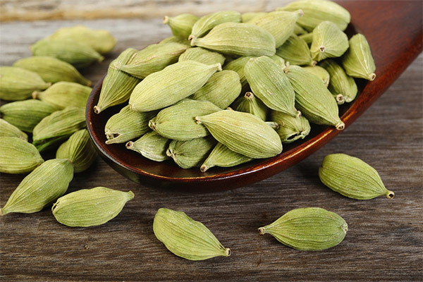What is the usefulness of cardamom for weight loss