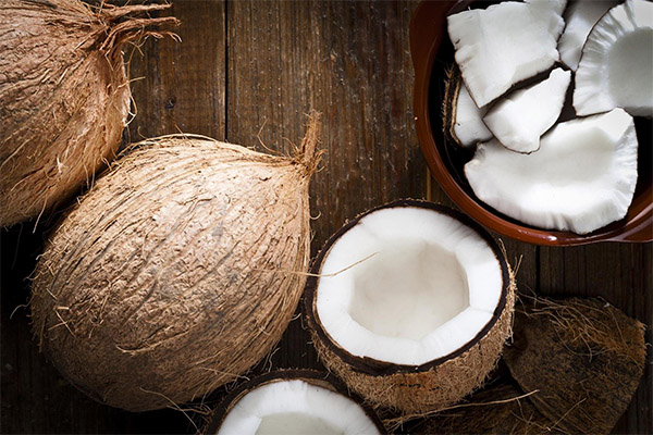 Was ist der gesundheitliche Nutzen der Kokosnuss?