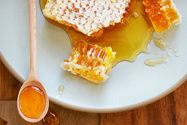 Wozu ist der Honig in einer Honigwabe gut?