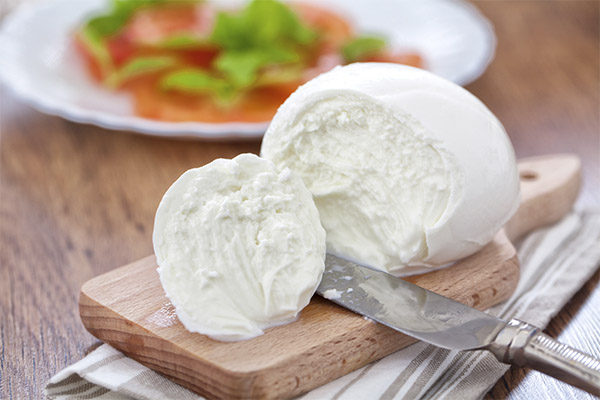 What to cook with mozzarella