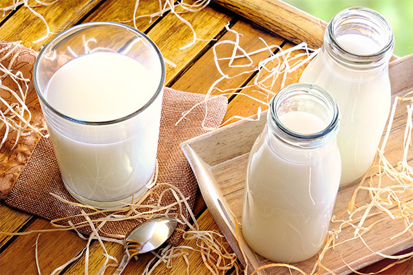 Co lze připravit z mléka