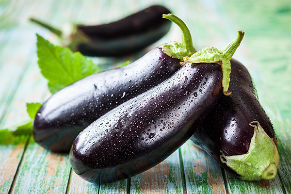 Interesting facts about eggplants